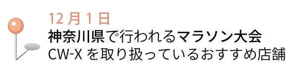 kanagawa02